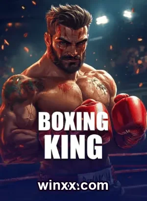 Descubra os Benefícios VIP no winxx.com